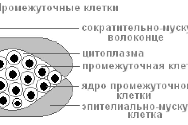 Кракен сайт покупок