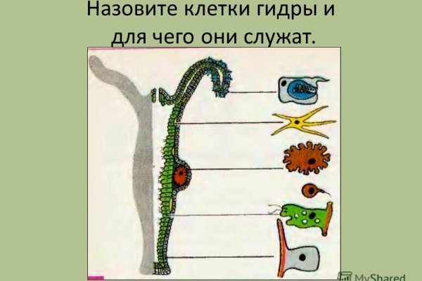 Кракен маркет даркнет speed up