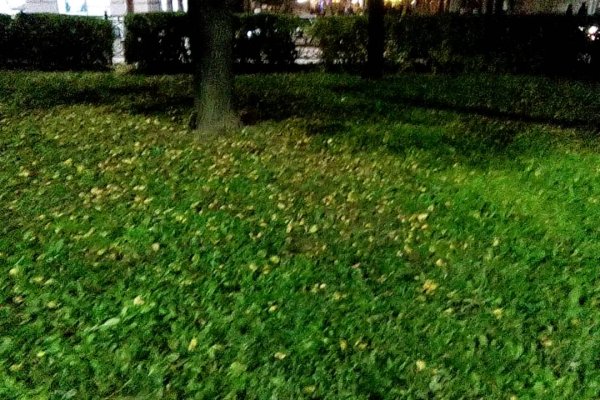 Кракен сайт ссылка kr2web in
