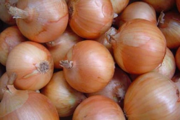 Кракен зеркало onion