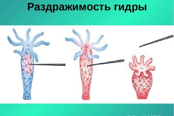 Как зайти на kraken маркетплейс